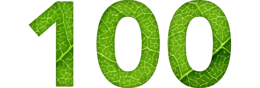 the number 100